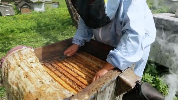 Včelař na včelíně. Včelař pracuje s včelami a úly na včelíně. Detailní pohled na včelařovy ruce při práci. — Stock video