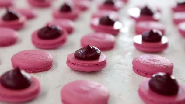 Visão de close-up de muitas linhas de rosa abriu metades com macarões de enchimento macaroon no fundo branco. Sobremesa clássica francesa . — Vídeo de Stock