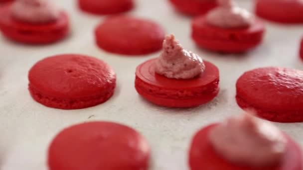 Vue rapprochée de nombreuses rangées de moitiés rouges ouvertes avec macarons de remplissage macaron sur fond blanc. Dessert classique français .