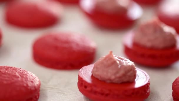 Vista de cerca de muchas filas de mitades rojas abiertas con macarrones de relleno sobre fondo blanco. Postre clásico francés . — Vídeos de Stock