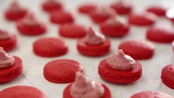 Vue rapprochée de nombreuses rangées de moitiés rouges ouvertes avec macarons de remplissage macaron sur fond blanc. Dessert classique français .