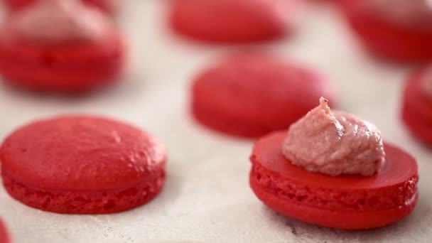 Vue rapprochée de nombreuses rangées de moitiés rouges ouvertes avec macarons de remplissage macaron sur fond blanc. Dessert classique français . — Video