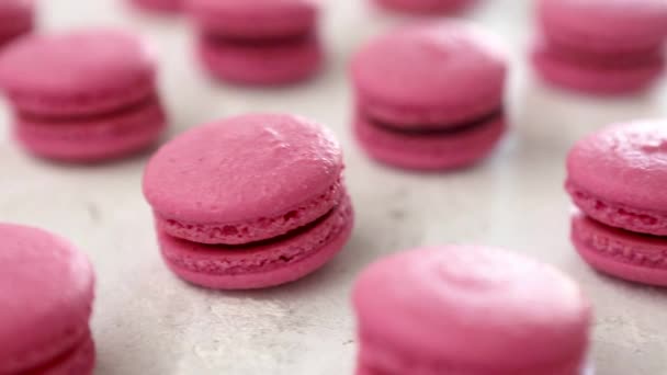 Vista de cerca de muchas filas de macarrones rosados macarrones sobre fondo blanco. Postre clásico francés . — Vídeos de Stock