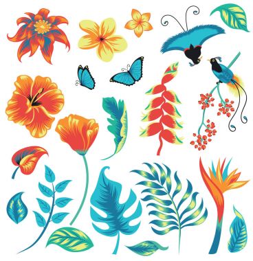 Set of tropical plants and birds. clipart