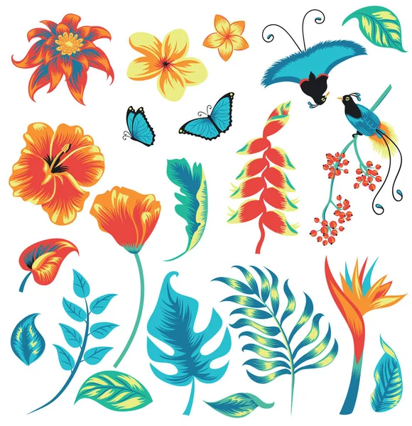 Conjunto de plantas tropicales y aves . — Vector de stock