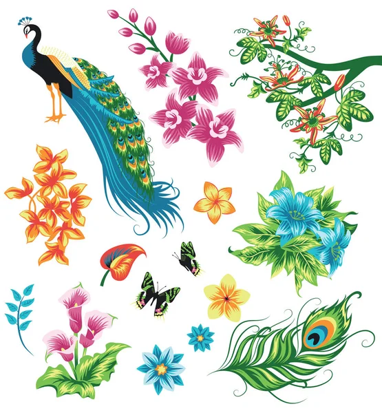 Ensemble de plantes et d'oiseaux tropicaux . — Image vectorielle