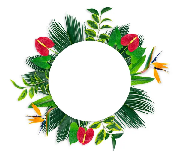 Cirkelvormige Banner Met Tropische Bladeren Bloemen Geïsoleerd Wit — Stockfoto