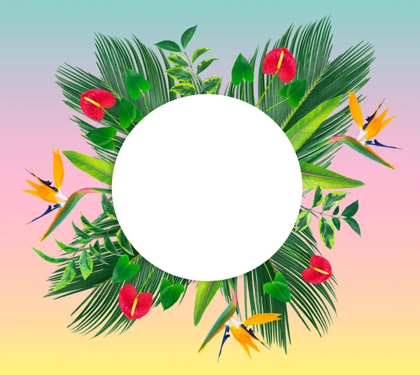 Kreisförmiges Banner Mit Tropischen Blättern Und Blüten Isoliert Auf Weiß — Stockfoto