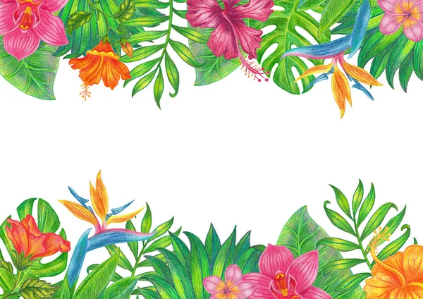 Bandeira Fundo Tropical Verão Com Folhas Palmeira Flores Hibisco Fundo — Fotografia de Stock