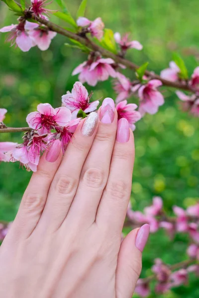Beautiful manicure. Hand holding a branch with pink flowers. Close up of a manicure.