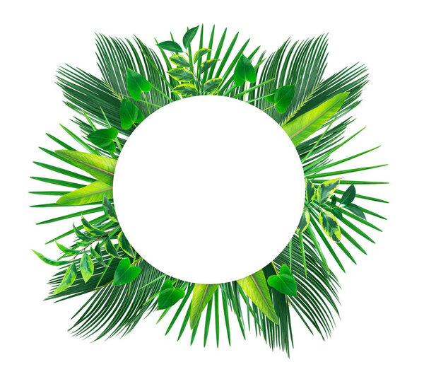 Circle shape banner with green tropical leaves. Isolated on white. 