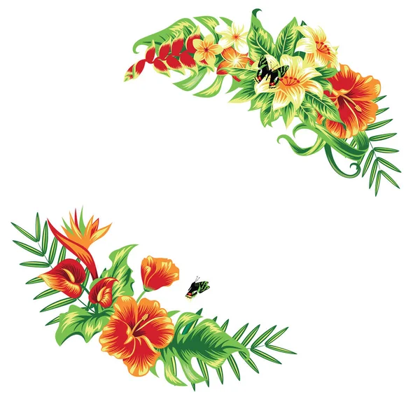 Marco Fondo Tropical Verano Con Hojas Palma Flores Hibisco Aislado — Vector de stock