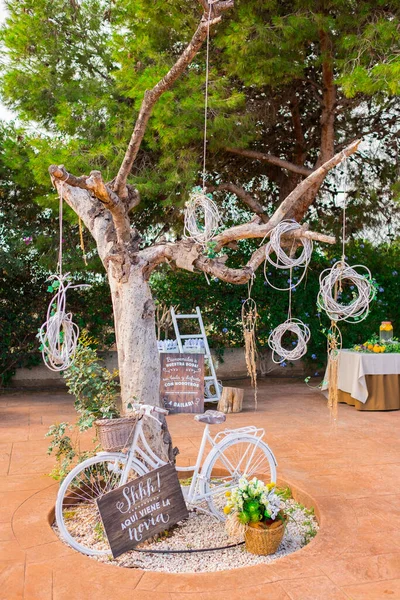 Rustic Wedding Decoration Tree — Stock Photo, Image