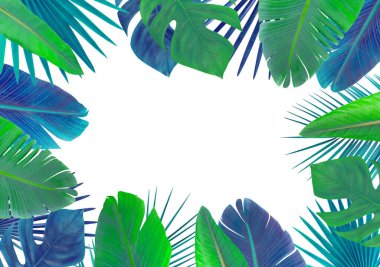 Tropikal yapraklı beyaz arka plan. Foly arkaplan. 