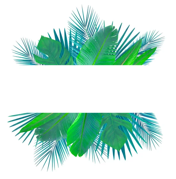 Banner Met Tropische Bladeren Geïsoleerd Wit Groene Blauwachtige Bladeren — Stockfoto