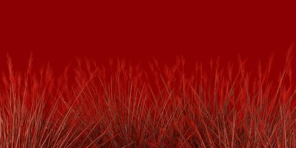 Imagem Uma Planta Campo Latido Isolado Fundo Vermelho Banner Ícone — Fotografia de Stock