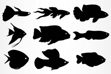 Download Paddlefish Free Vector Eps Cdr Ai Svg Vector Illustration Graphic Art