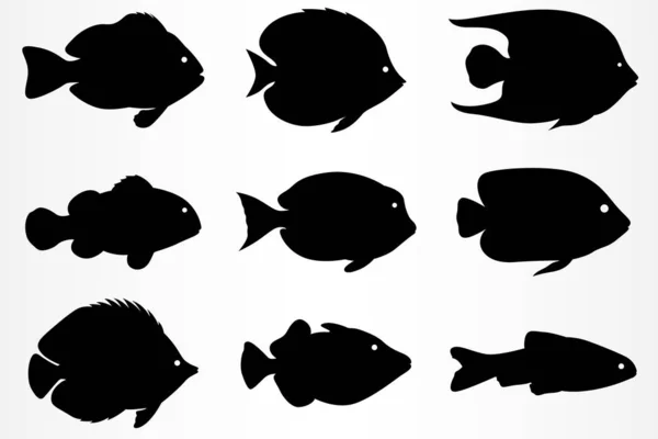 A set of nine different fish icons. Marine and aquarium fish. — Stock Vector