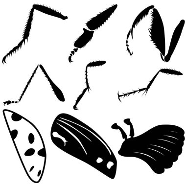 A set of nine different insect parts. Paws and chitin of insects. clipart