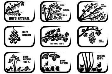 Saf doğa teması için dokuz ikondan oluşan bir set. Çevre dostu ürün. Bektaşi üzümleri, üzümler ve çilekler.
