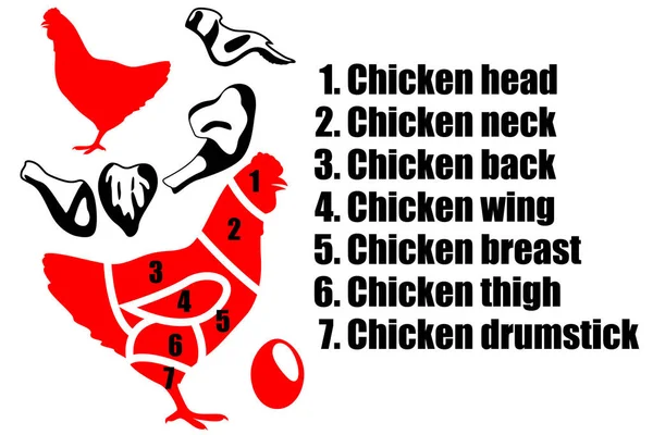 A set of four pieces of chicken, the silhouette of the chicken and how to carve the carcass. Part of the meat. — Stockový vektor