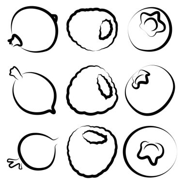 Dokuz farklı böğürtlen. Yaratıcı sanat. Ahududu, yabanmersini, frenk üzümü, bektaşi üzümü vs. Vektör illüstrasyonu.