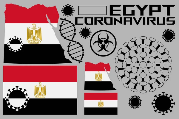 Illustration Des Coronavirus Mit Flaggen Und Dem Territorium Des Landes — Stockvektor