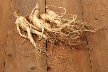 Ginseng kökü bir ahşap yüzeye yakın çekim