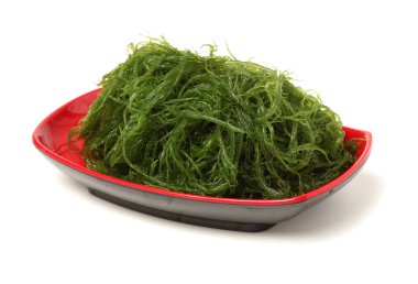 Beyaz arka plan üzerinde izole Laminaria (Kelp) yosun