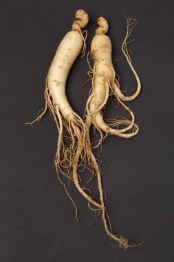 Ginseng siyah arka plan üzerine.