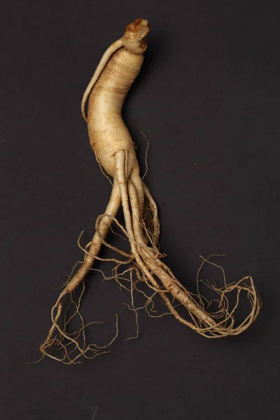 Ginseng Sur Fond Noir — Photo