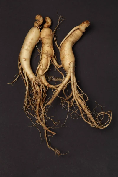 Ginseng Sur Fond Noir — Photo