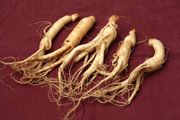 Fabric Fresh Ginseng Background — Stock Photo, Image