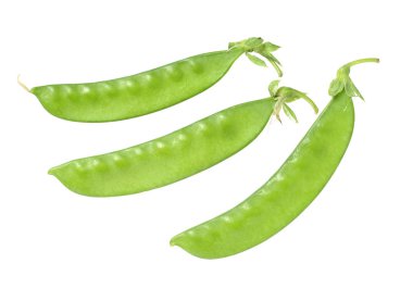 Kar bezelye veya uyuz-muhbir beyaz arka plan üzerinde izole 