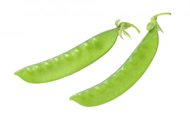 Kar bezelye veya uyuz-muhbir beyaz arka plan üzerinde izole 