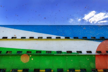 Bir karavanda - vagon arı kovanı ile landi için uçan Arı kovanları