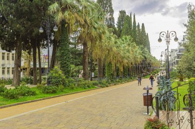 Soçi şehir sokakları yeşil alanlarla çevrili ve şehrin sakinleri ve misafirlerine serin ve temiz hava veriyor. Modern binalar şehrin dış yüzeyine sorunsuz uyum sağlıyor.