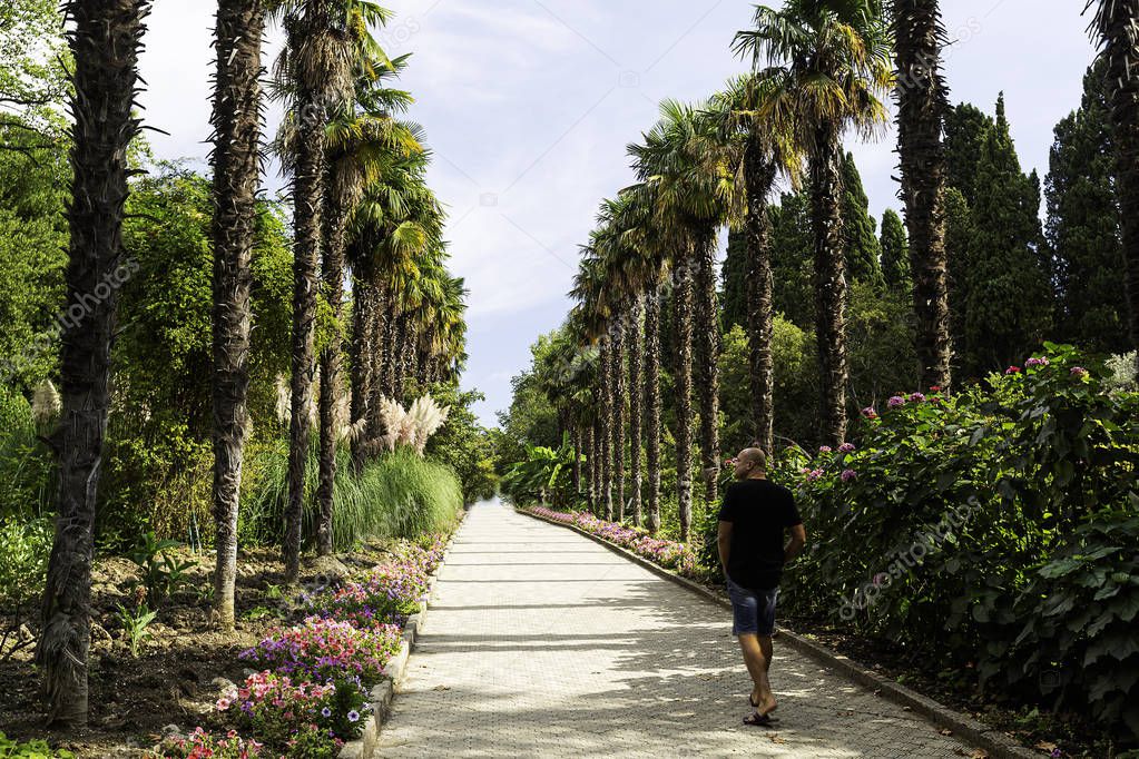 Nikitsky Botanical garden in Yalta impresses with a variety of tree species and flowers. The quirkiness of the location and the beauty of Park architecture.