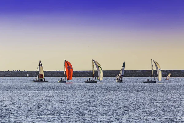 Regata Vela Sevastopol Uma Vista Bonita Emocionante — Fotografia de Stock