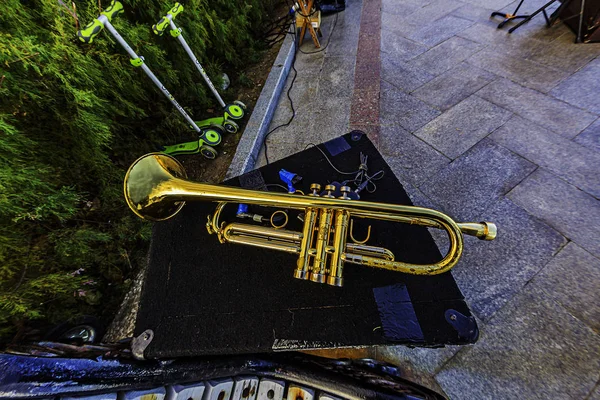Street Musicians Yalta Embankment Give Tourists Vacationers Great Aesthetic Pleasure — 스톡 사진