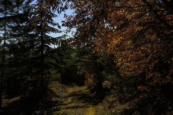 Naturaleza Brillante Hermosa Las Montañas Crimea Fascina Por Belleza Alboroto —  Fotos de Stock