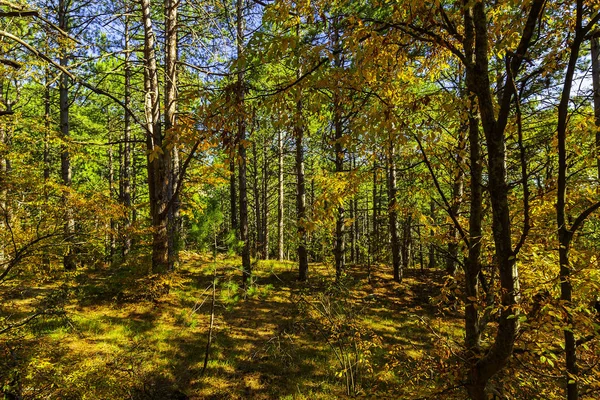 Naturaleza Brillante Hermosa Las Montañas Crimea Fascina Por Belleza Alboroto —  Fotos de Stock