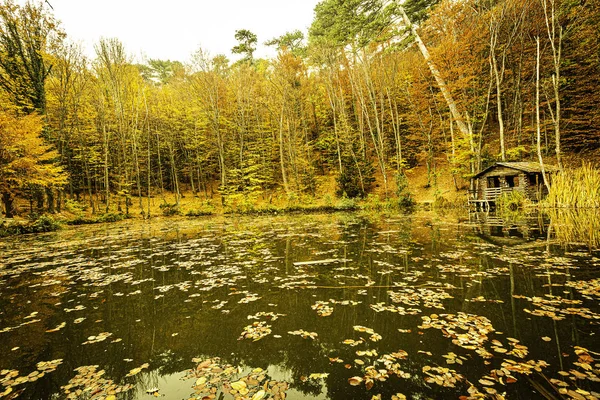 山の湖の特別な美しさは その表面は 落ち葉で覆われ 明るい秋の木々に囲まれています 湖の岸には小さな木製の小屋があり 山の湖に特別な魅力を与えています — ストック写真