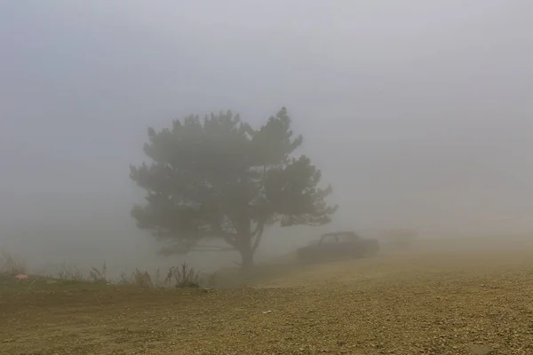 Espesa Niebla Cubría Pico Montañoso Petri Crimea Nivel Brazo Extendido — Foto de Stock