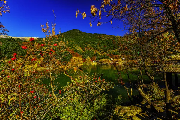 Bergmeer omgeven door bomen — Stockfoto