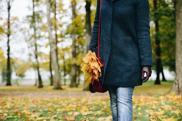 Mujer caminando en el parque de otoño — Foto de Stock