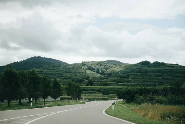 Üzüm bağları ile boş asfalt yol 