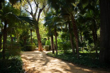 Geçit aracılığıyla Maria Luisa parkta güneşli yaz sabahı, Sevilla, İspanya