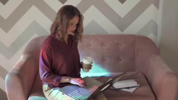 Jovem Mulher Sentada Sofá Usando Laptop Mulher Concentrada Trabalho — Vídeo de Stock