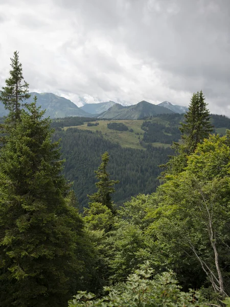 Paysage Pittoresque Vertes Montagnes Alpines Boisées Autriche Salzkammergut — Photo
